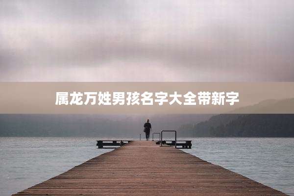属龙万姓男孩名字大全带新字