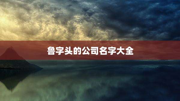 鲁字头的公司名字大全
