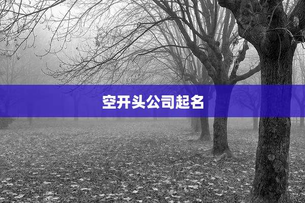 空开头公司起名