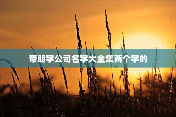 带朗字公司名字大全集两个字的