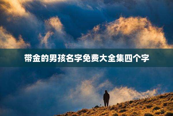 带金的男孩名字免费大全集四个字