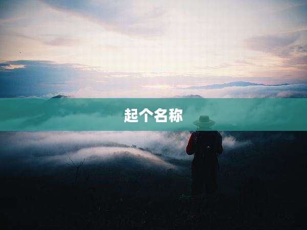 起个名称