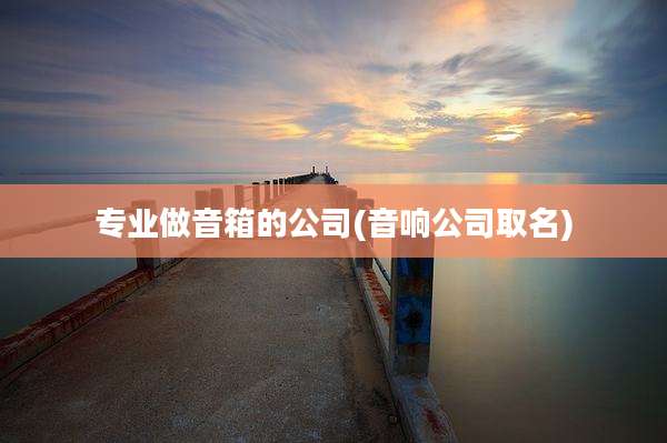 专业做音箱的公司(音响公司取名)