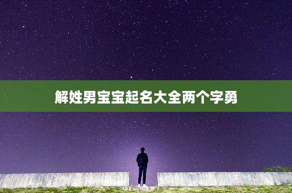 解姓男宝宝起名大全两个字勇