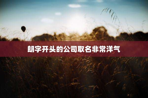 朗字开头的公司取名非常洋气