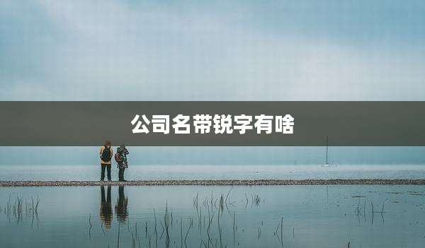 公司名带锐字有啥