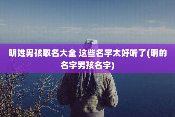 明姓男孩取名大全 这些名字太好听了(明的名字男孩名字)