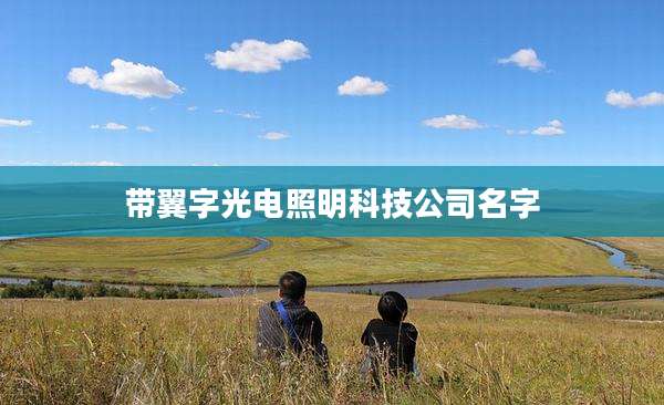 带翼字光电照明科技公司名字