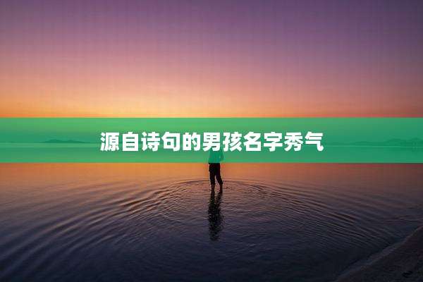 源自诗句的男孩名字秀气