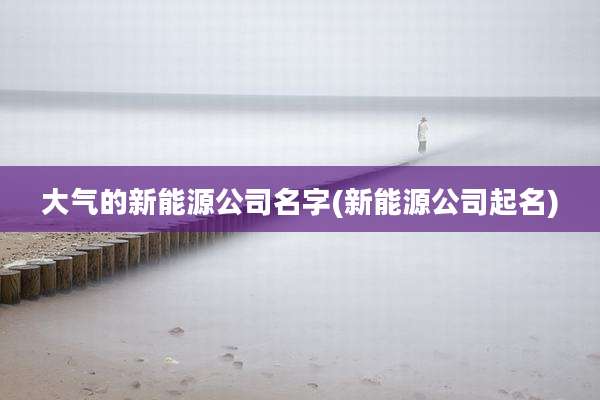 大气的新能源公司名字(新能源公司起名)