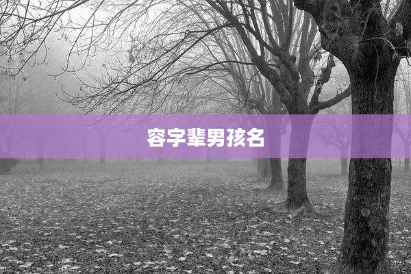 容字辈男孩名