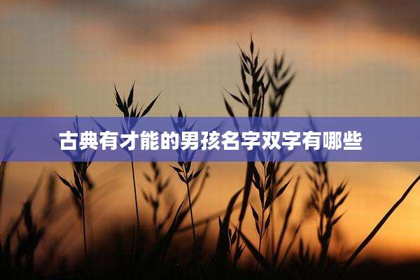 古典有才能的男孩名字双字有哪些
