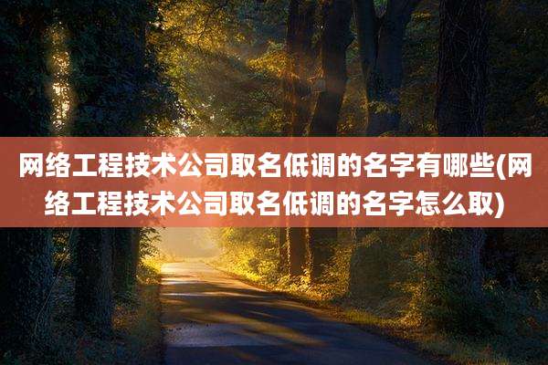 网络工程技术公司取名低调的名字有哪些(网络工程技术公司取名低调的名字怎么取)