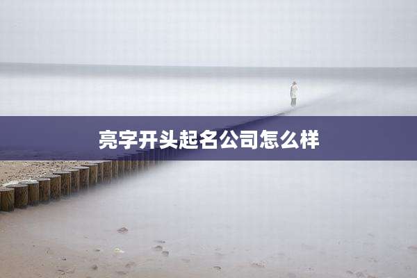 亮字开头起名公司怎么样