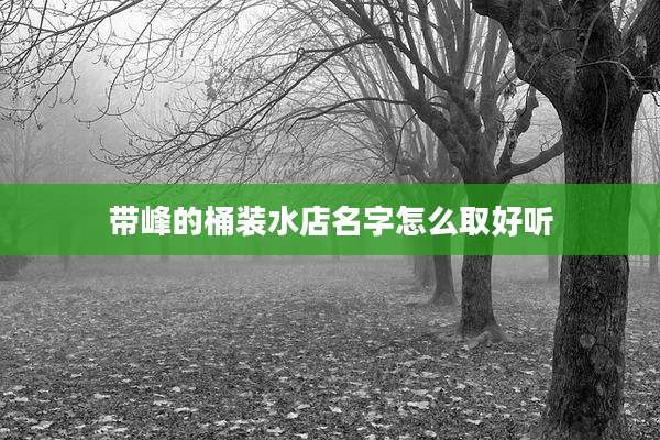 带峰的桶装水店名字怎么取好听