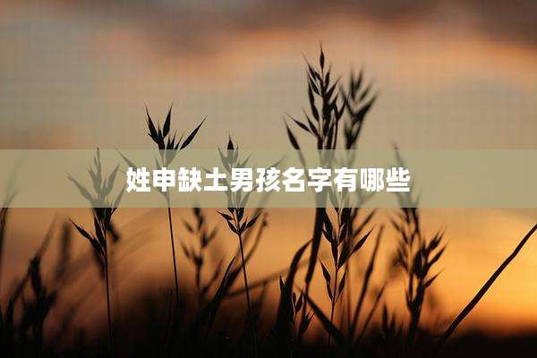 姓申缺土男孩名字有哪些