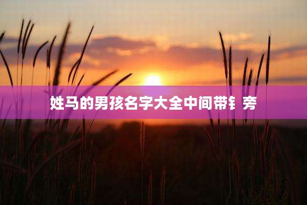 姓马的男孩名字大全中间带钅旁