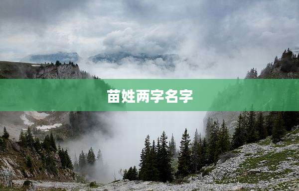苗姓两字名字