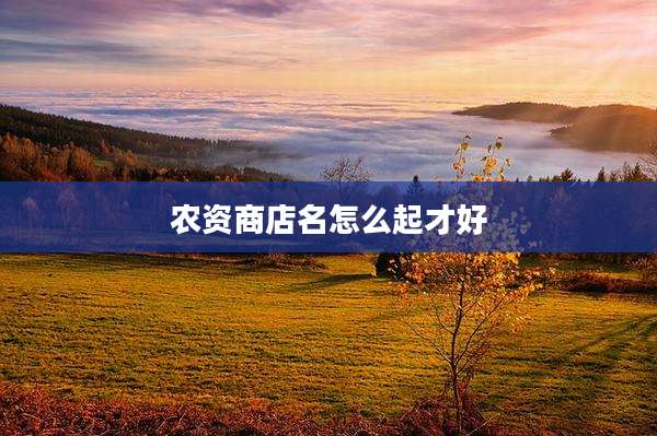 农资商店名怎么起才好