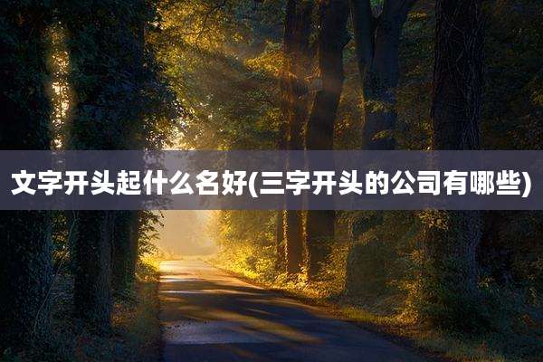 文字开头起什么名好(三字开头的公司有哪些)