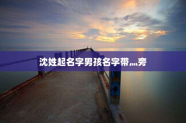 沈姓起名字男孩名字带灬旁