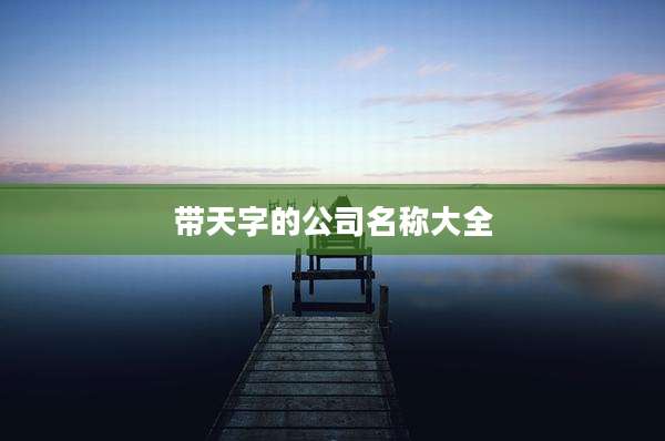 带天字的公司名称大全