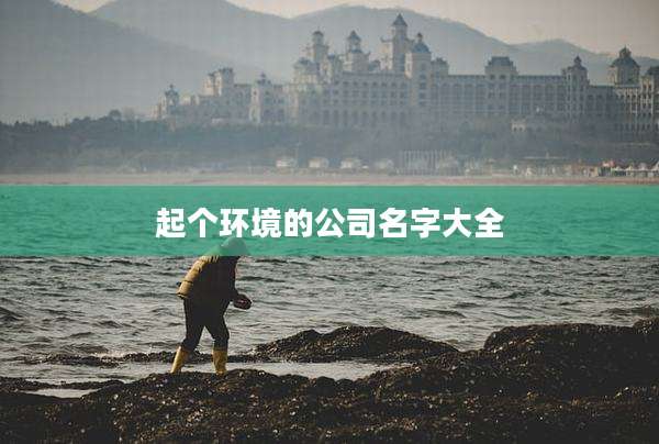 起个环境的公司名字大全