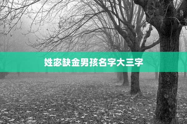 姓宓缺金男孩名字大三字