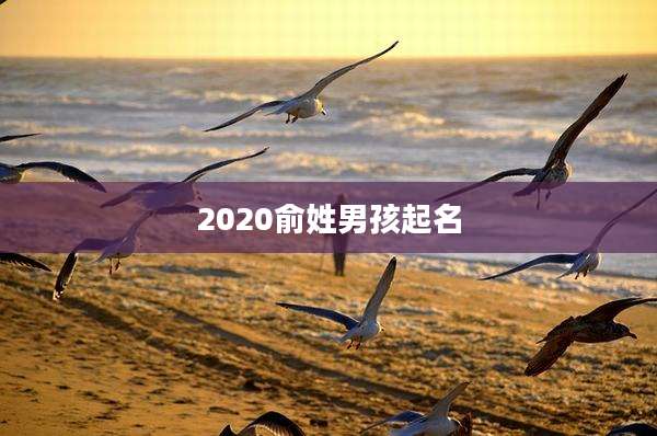 2020俞姓男孩起名