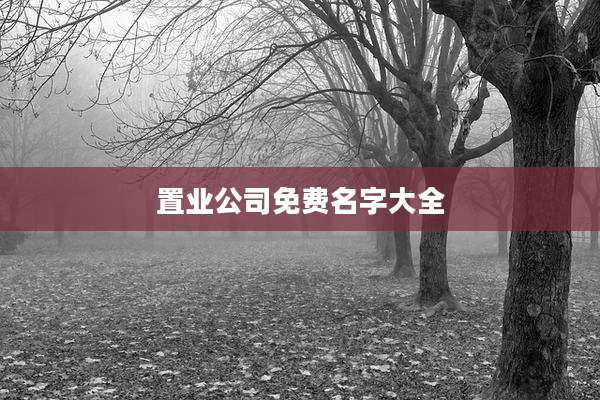 置业公司免费名字大全