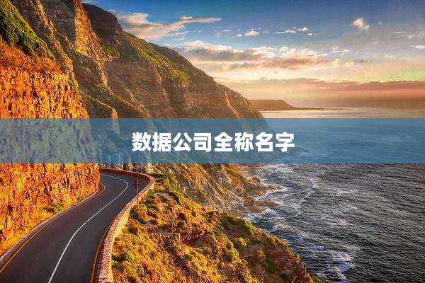 数据公司全称名字