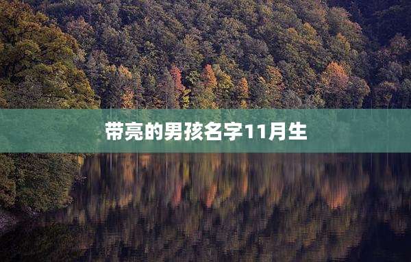 带亮的男孩名字11月生