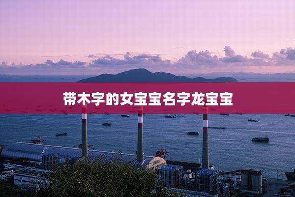 带木字的女宝宝名字龙宝宝