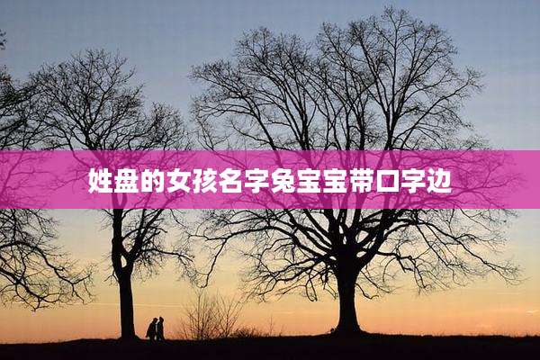 姓盘的女孩名字兔宝宝带口字边