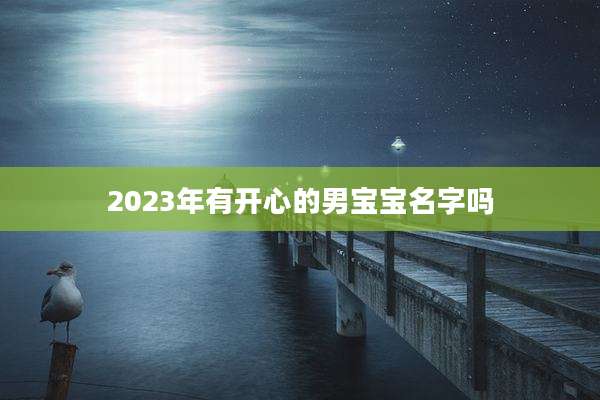 2023年有开心的男宝宝名字吗