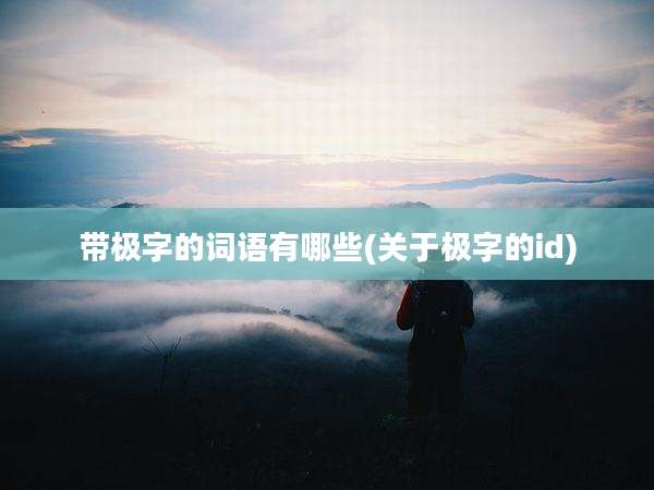带极字的词语有哪些(关于极字的id)