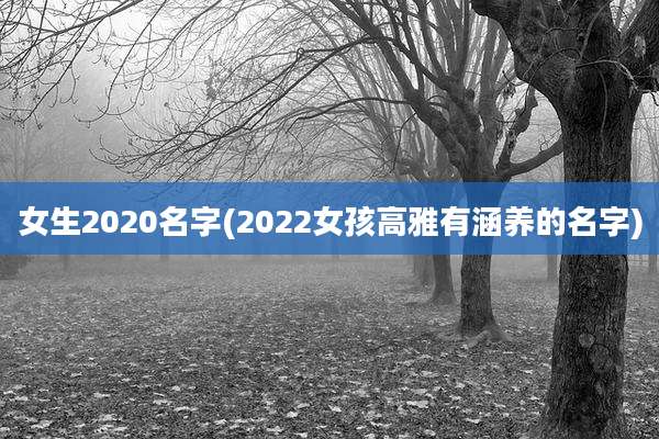 女生2020名字(2022女孩高雅有涵养的名字)