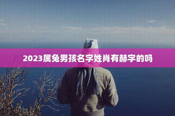 2023属兔男孩名字姓肖有赫字的吗