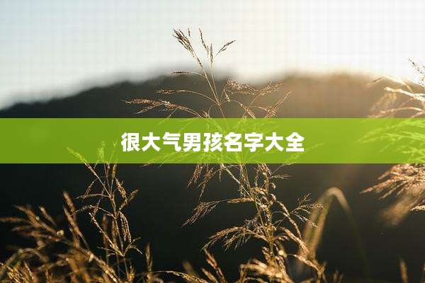 很大气男孩名字大全