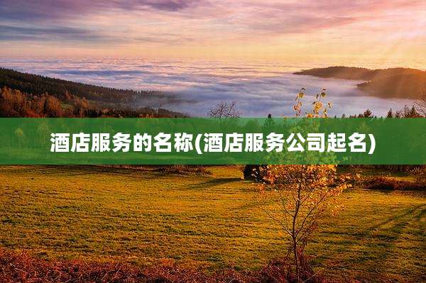 酒店服务的名称(酒店服务公司起名)