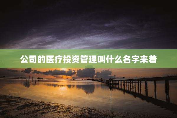公司的医疗投资管理叫什么名字来着