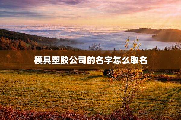 模具塑胶公司的名字怎么取名