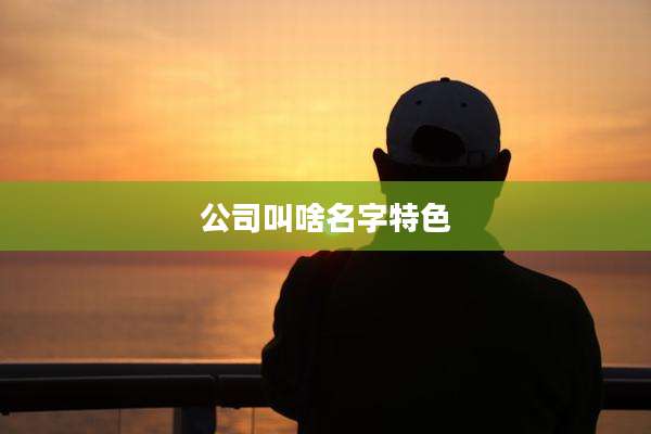 公司叫啥名字特色