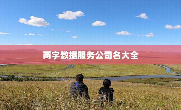 两字数据服务公司名大全