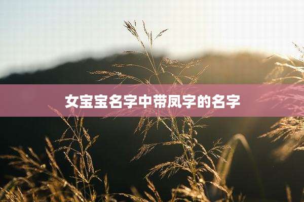 女宝宝名字中带凤字的名字
