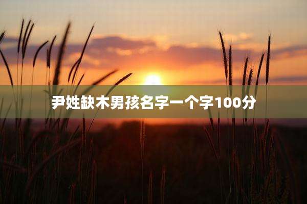 尹姓缺木男孩名字一个字100分