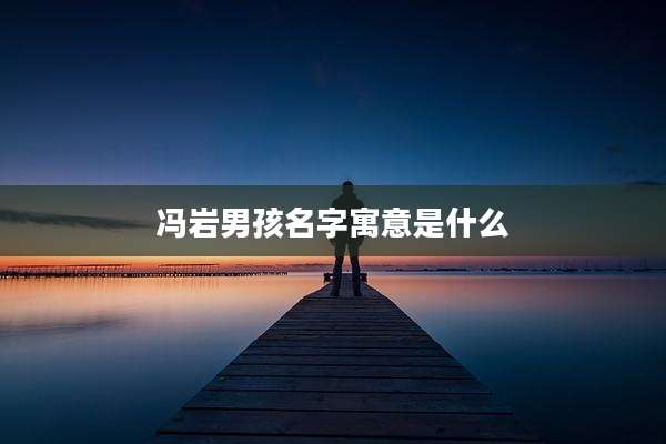 冯岩男孩名字寓意是什么