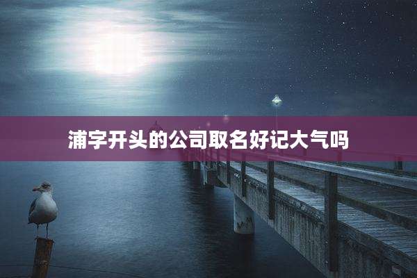 浦字开头的公司取名好记大气吗