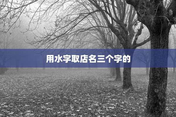 用水字取店名三个字的