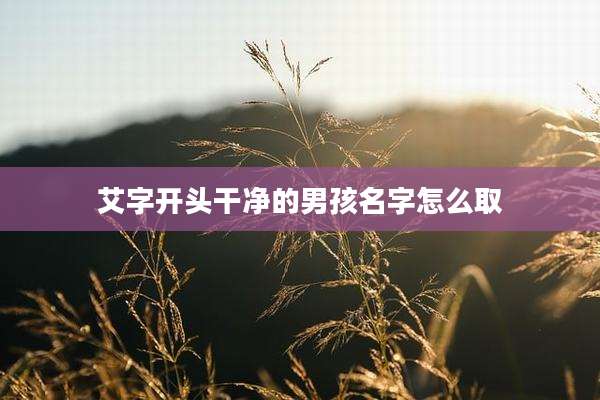 艾字开头干净的男孩名字怎么取
